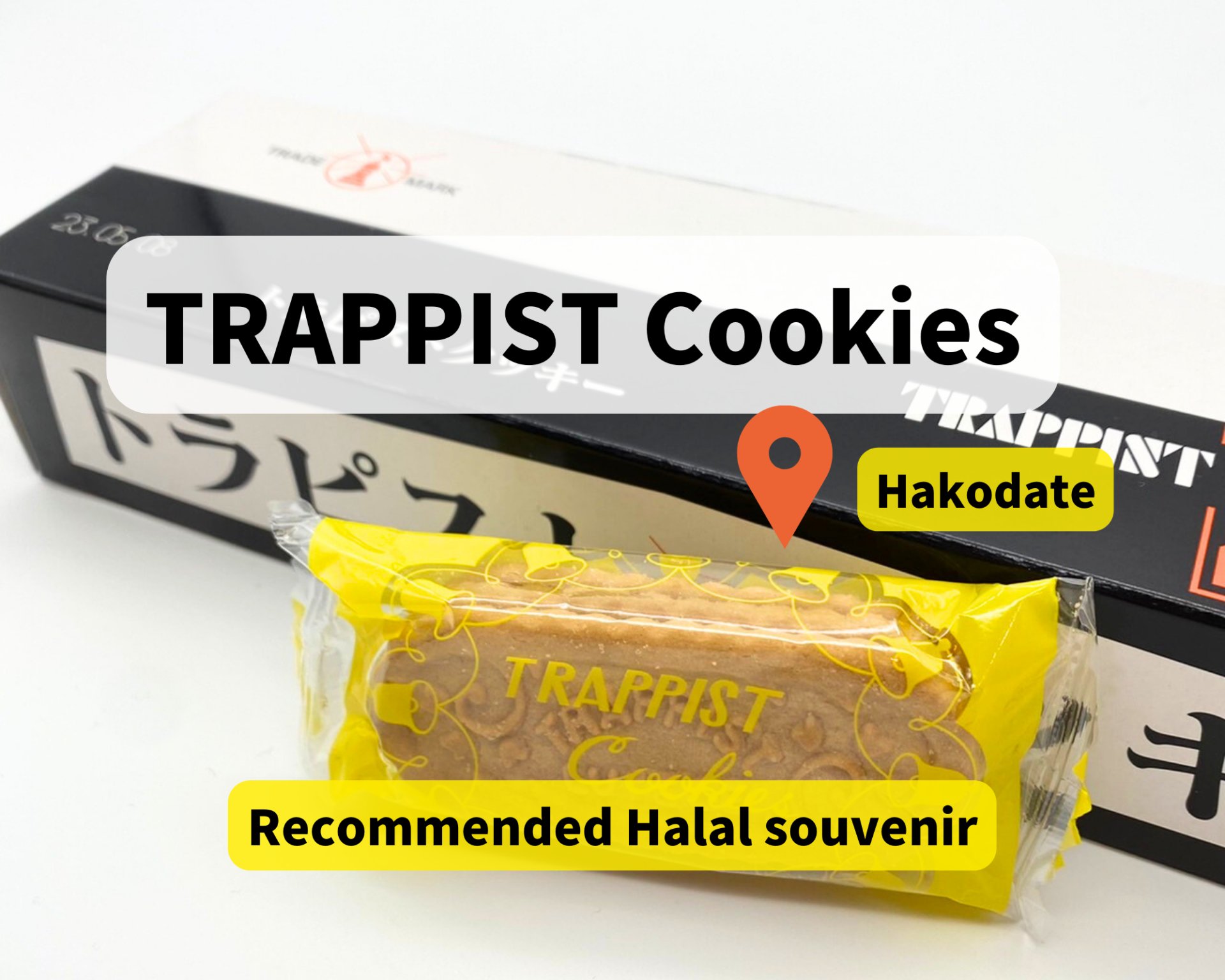 ⛪ 등대의 성모 트라피스트 대수도원 (도다이노세이보 토라피스토 다이슈도인) 이미지 4